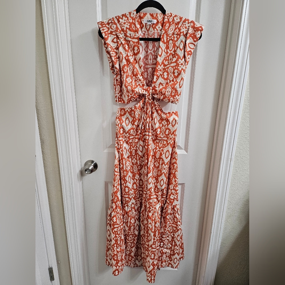 BB Dakota dress